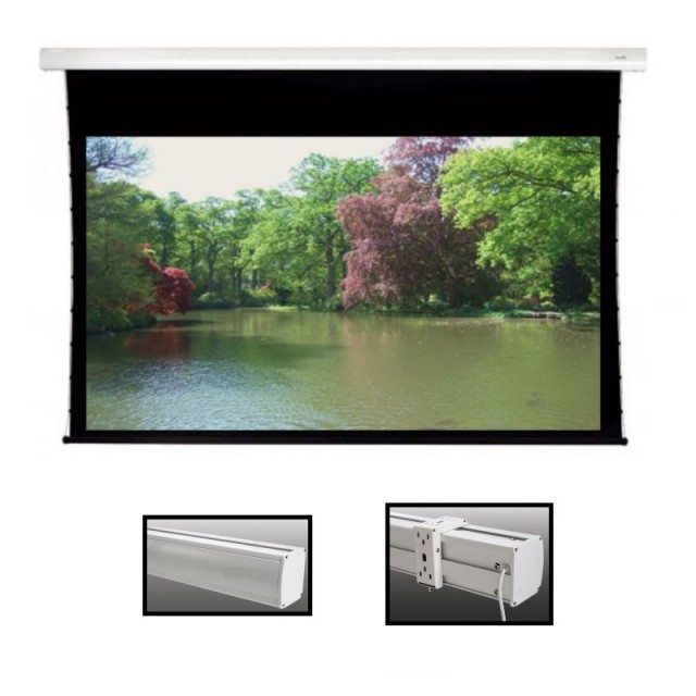 Roche Professional 16:10 Tab Tensioned Electric Projection Screens