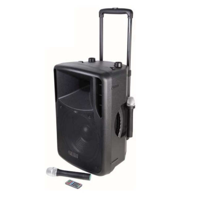 Roche Quality 250W PA System (with SD / USB media player)